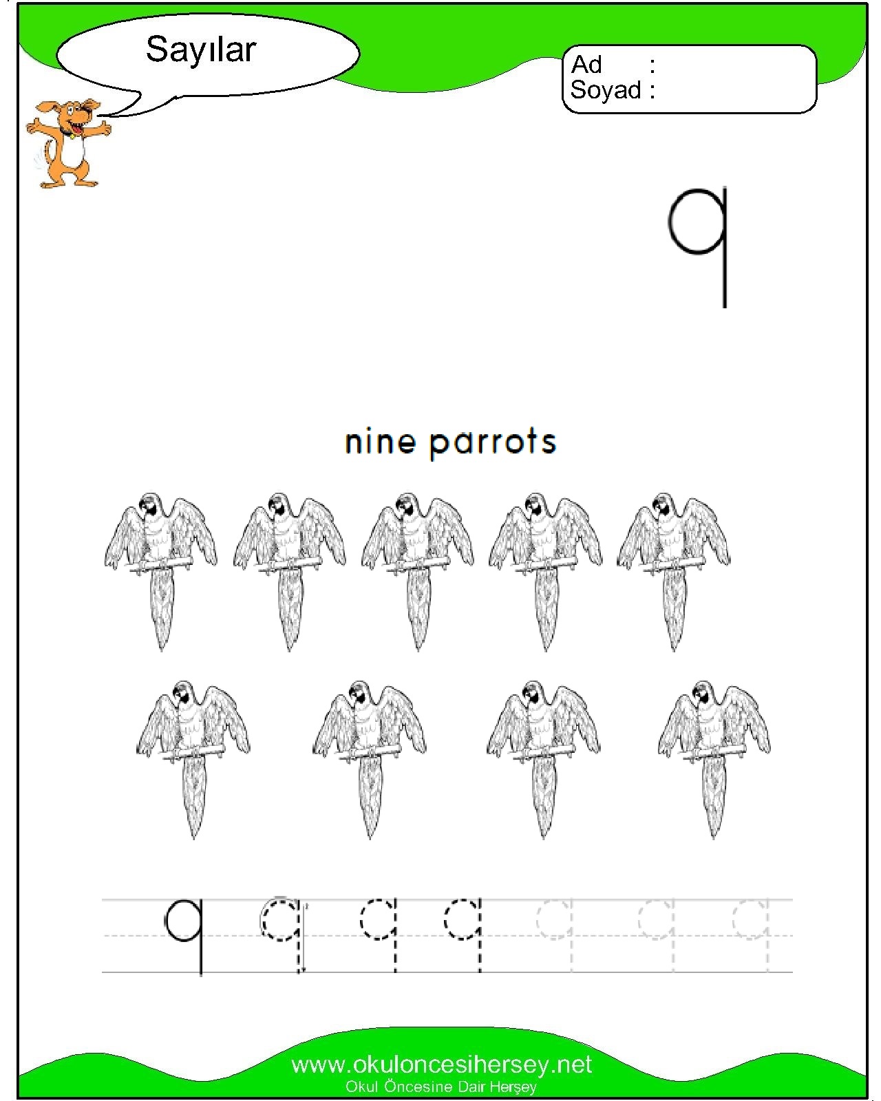 Çizgi Çalışmaları