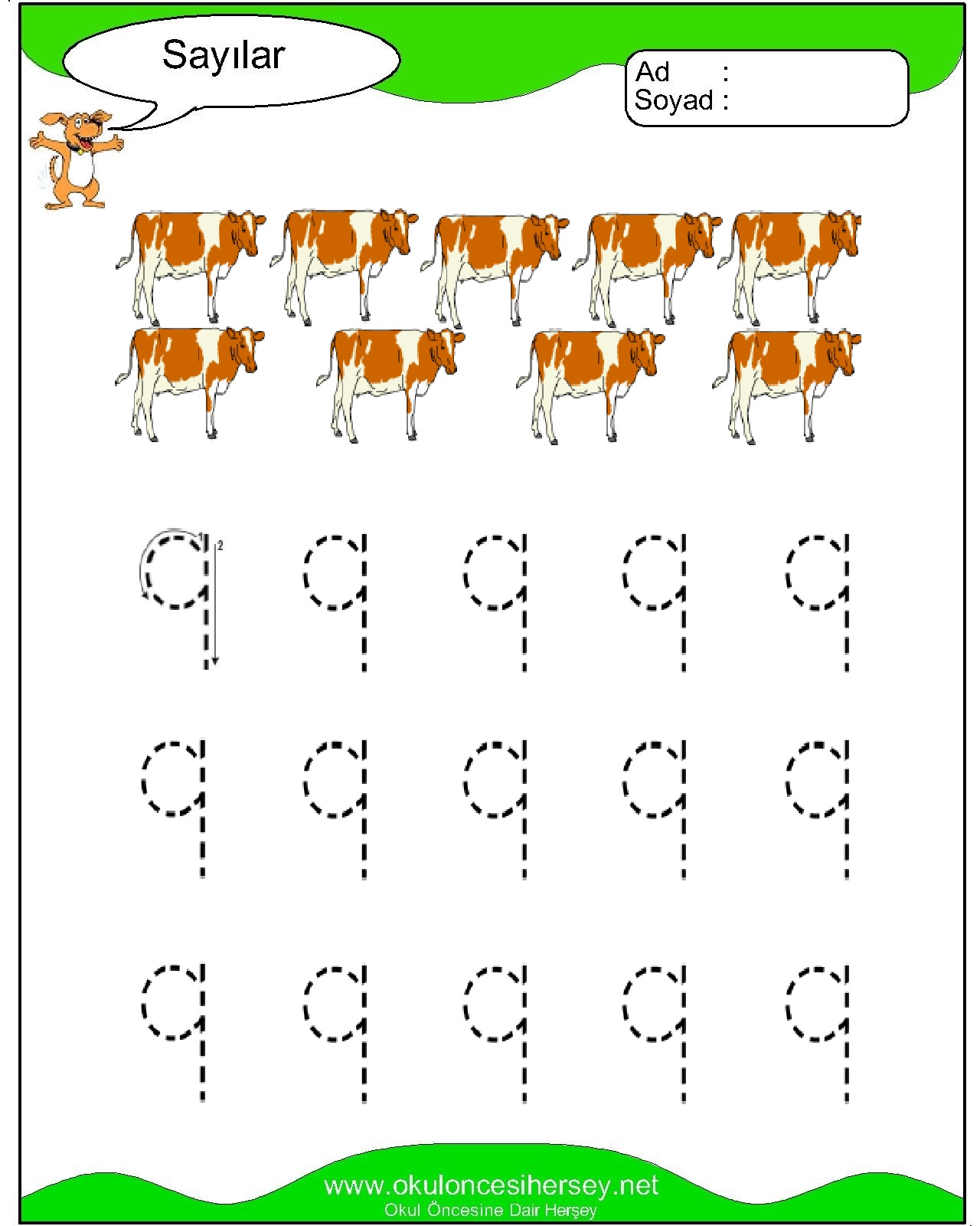 Çizgi Çalışmaları