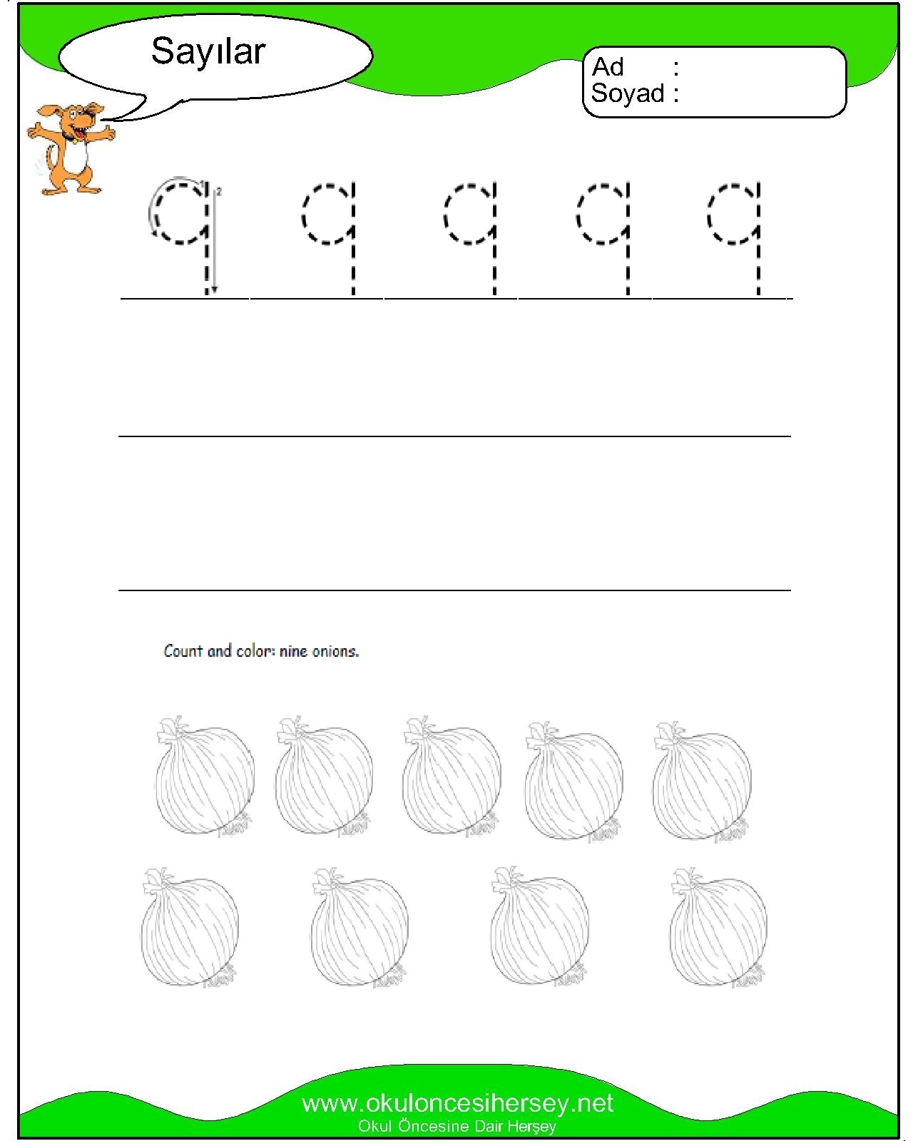 Çizgi Çalışmaları