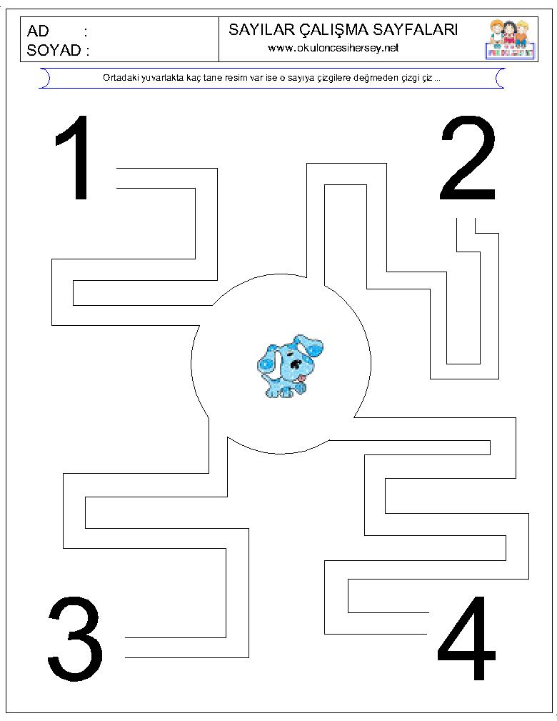 Çizgi Çalışmaları