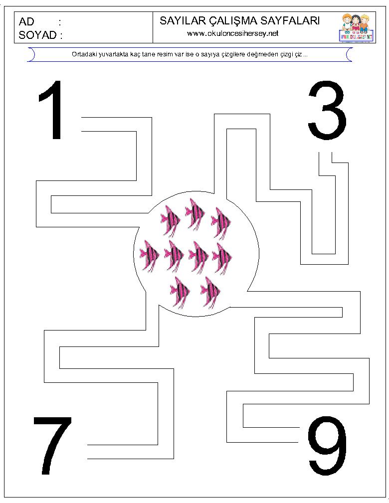 Çizgi Çalışmaları