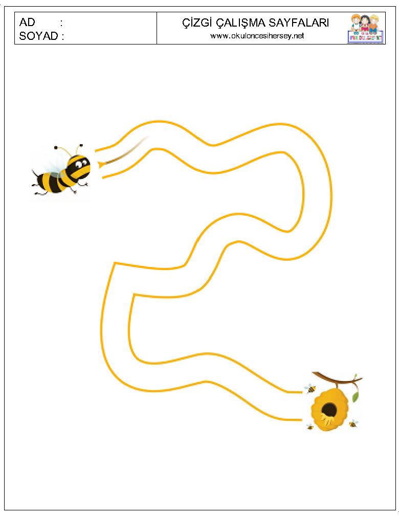 Çizgi Çalışmaları