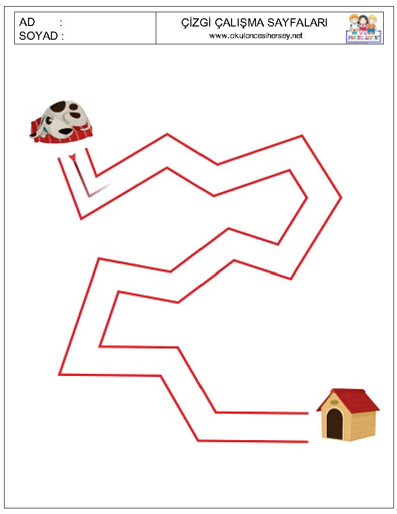 Çizgi Çalışmaları