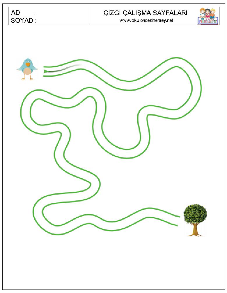 Çizgi Çalışmaları