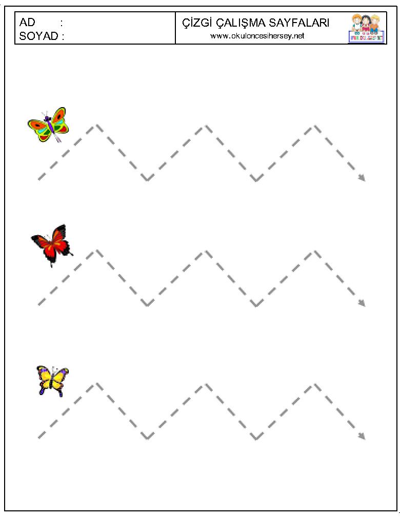 Çizgi Çalışmaları