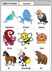 Okul öncesi Hayvanlar eğitici kartları