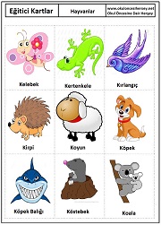 Okul öncesi Hayvanlar eğitici kartları