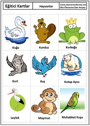 Okul öncesi Hayvanlar eğitici kartları