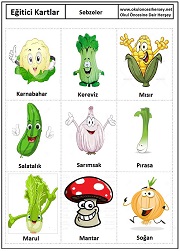 Okul öncesi Sebzeler eğitici kartları