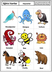 Okul öncesi Hayvanlar eğitici kartları
