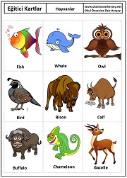 Okul öncesi Hayvanlar eğitici kartları