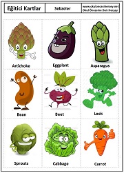 Okul öncesi Sebzeler eğitici kartları