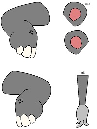 kese kağıdından Hipopotam kukla şablonu