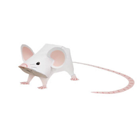 çocuklar için hazır hayvan model maketi şablonu, paper craft model animals