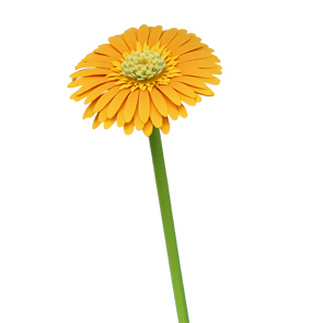 çocuklar için hazır model çiçek maketi şablonu, paper craft model