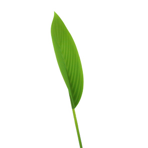 çocuklar için hazır model çiçek maketi şablonu, paper craft model