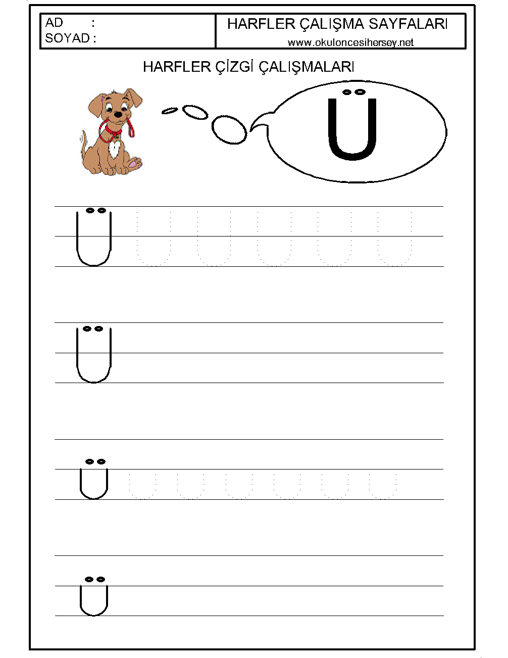 Çizgi Çalışmaları