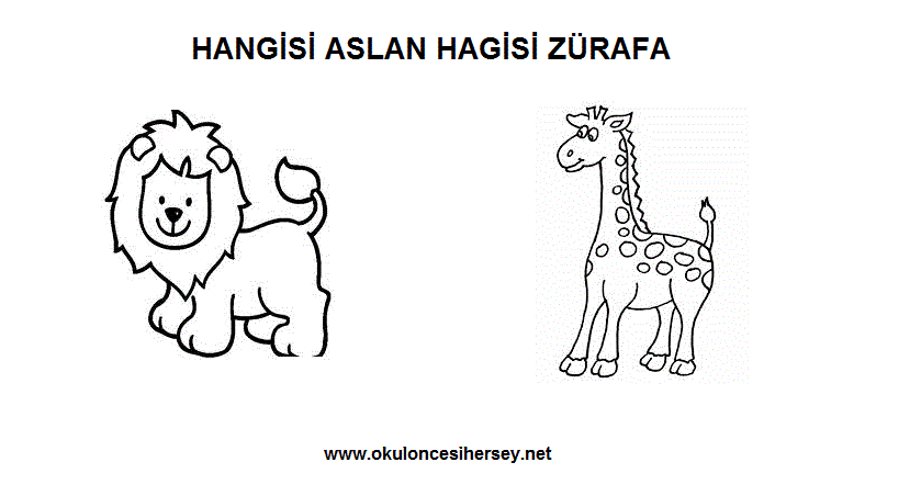 Hayvanlar Çalışma Sayfaları