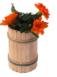 Dondurma Çubuğu Faliyetleri