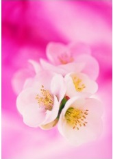 Özel Günler İçin Tebrik Kartları