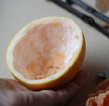 Limondan Kuş Yemliği Yapımı