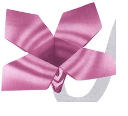origami Çiçek