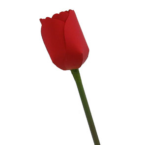 Renkli gül origami şablonu