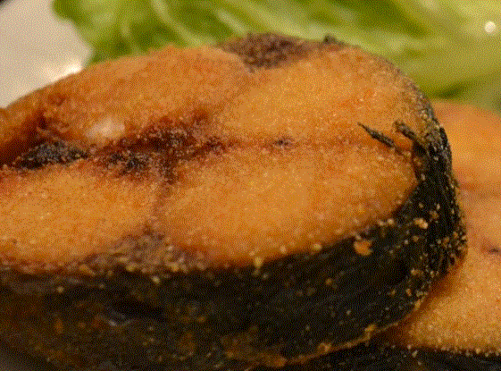 Palamut