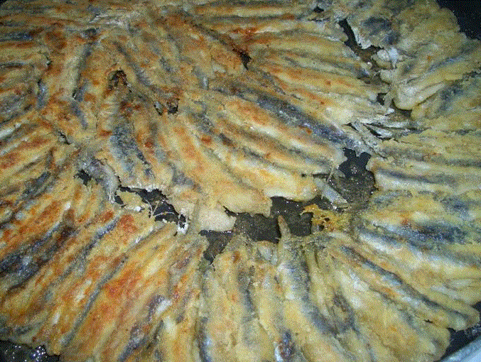 Hamsi