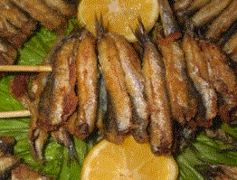 Hamsi