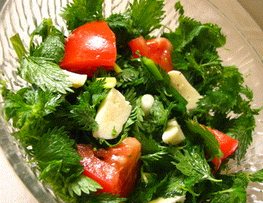 Enginar Salatası