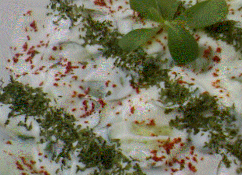 Semizotu Salatası