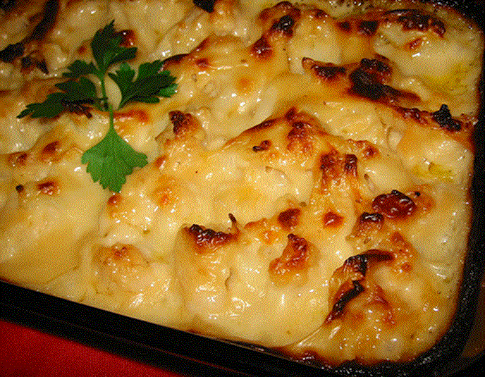 peynirli karnıbahar