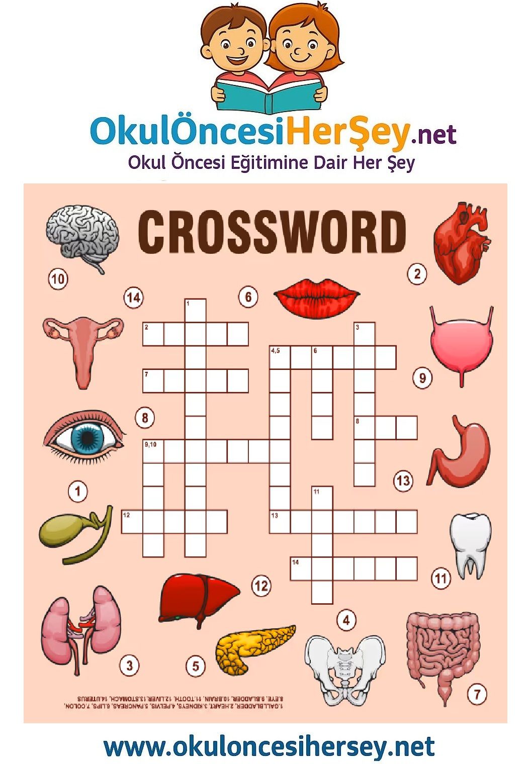 Çocuklar İçin   Crossword Bulmaca  