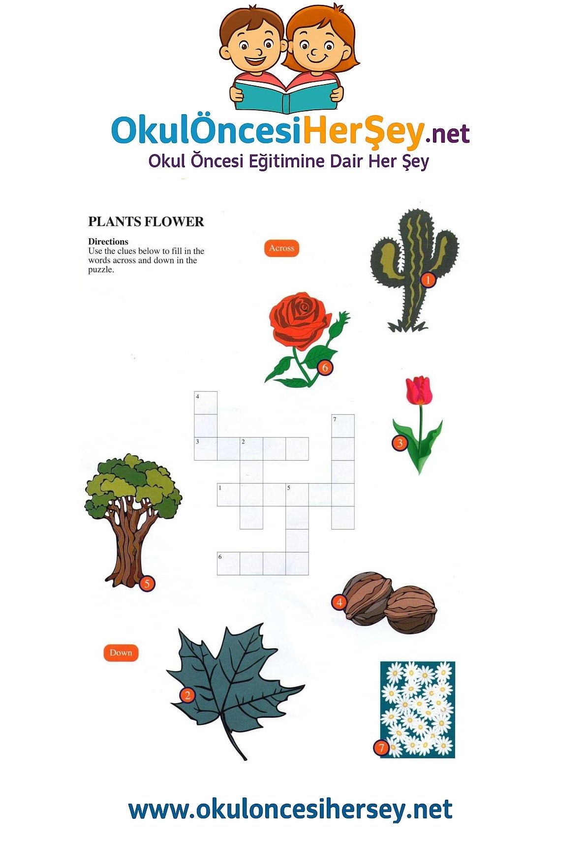 Çocuklar İçin   Crossword Bulmaca  