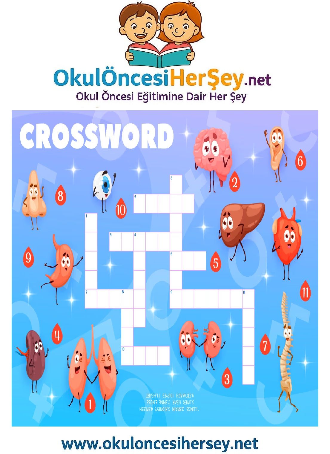 Çocuklar İçin   Crossword Bulmaca  