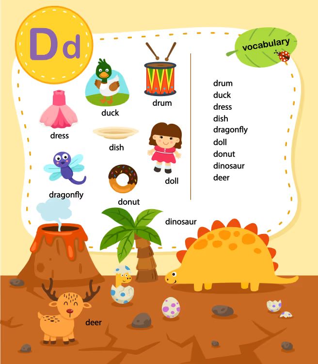 İngilizce Vocabulary