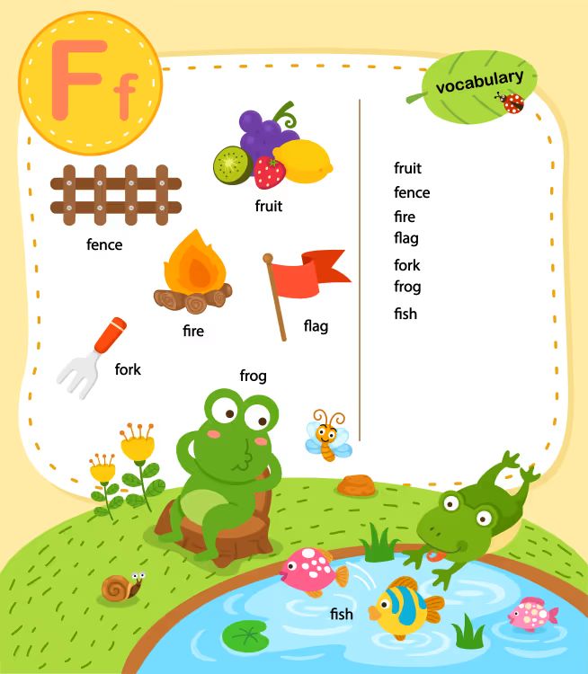 İngilizce Vocabulary