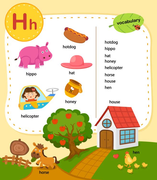 İngilizce Vocabulary