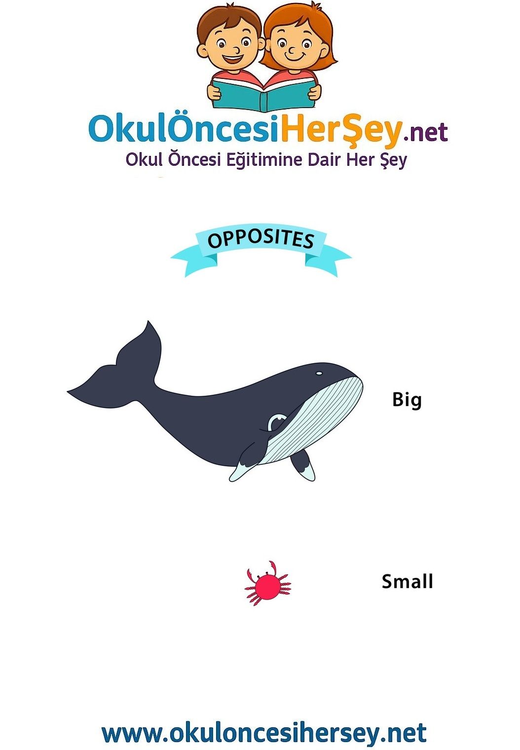 Çocuklar İçin   Zıt Kavramlar  
