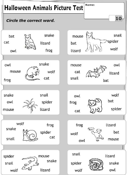 Çocuklar İçin   Doğru Kelimeyi Bul Çalışmaları  