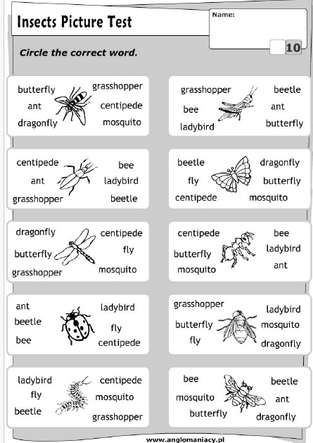 Çocuklar İçin   Doğru Kelimeyi Bul Çalışmaları  
