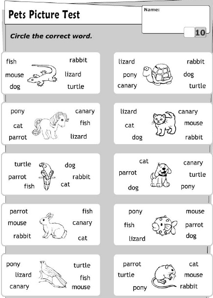 Çocuklar İçin   Doğru Kelimeyi Bul Çalışmaları  