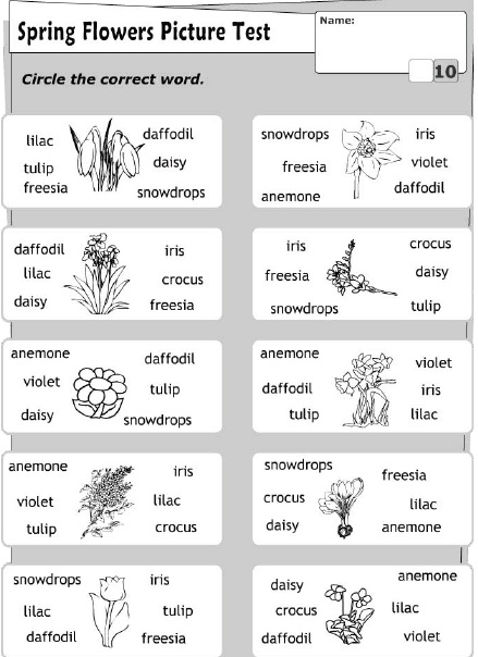 Çocuklar İçin   Doğru Kelimeyi Bul Çalışmaları  