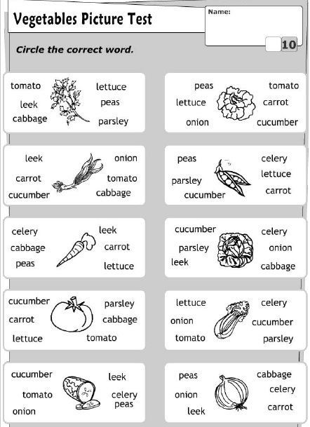 Çocuklar İçin   Doğru Kelimeyi Bul Çalışmaları  