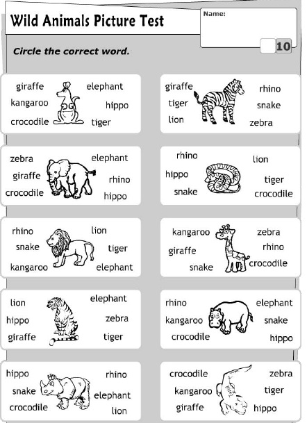 Çocuklar İçin   Doğru Kelimeyi Bul Çalışmaları  