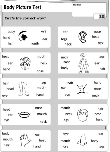 Çocuklar İçin   Doğru Kelimeyi Bul Çalışmaları  