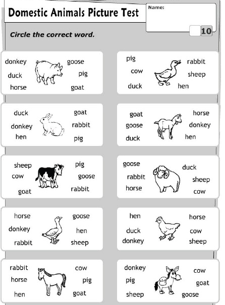 Çocuklar İçin   Doğru Kelimeyi Bul Çalışmaları  