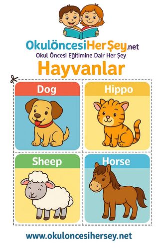 Çocuklar İçin  İngilizce Hayvanlar Flashkart  