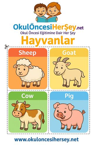 Çocuklar İçin  İngilizce Hayvanlar Flashkart  